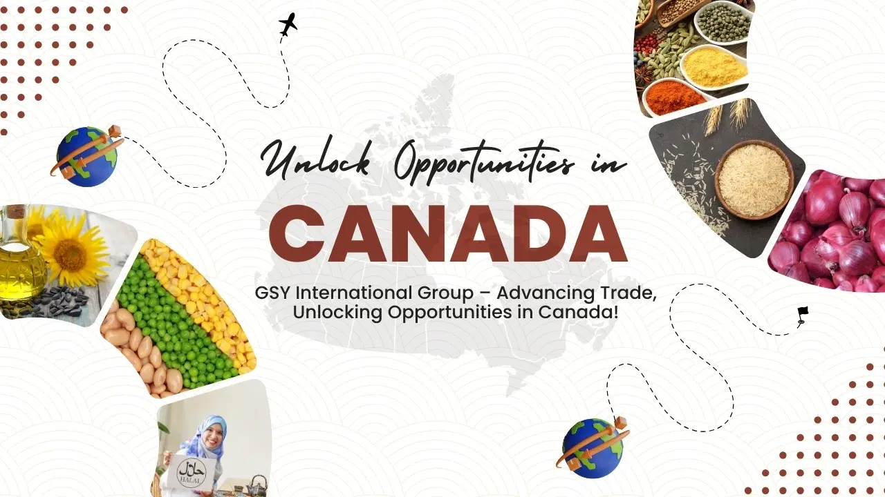 GSY International Group